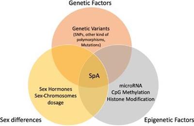 Genetics, Epigenetics, and Gender Impact in Axial-Spondyloarthritis Susceptibility: An Update on Genetic Polymorphisms and Their Sex Related Associations